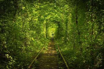 Фото Отель Hotel Tunnel of Love г. Клевань 1